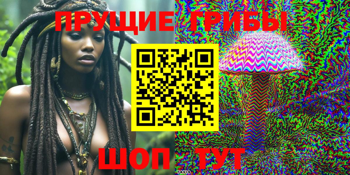 Псилоцибиновые грибы Cubensis  Учалы  Галлюциногенные грибы Psilocybe 