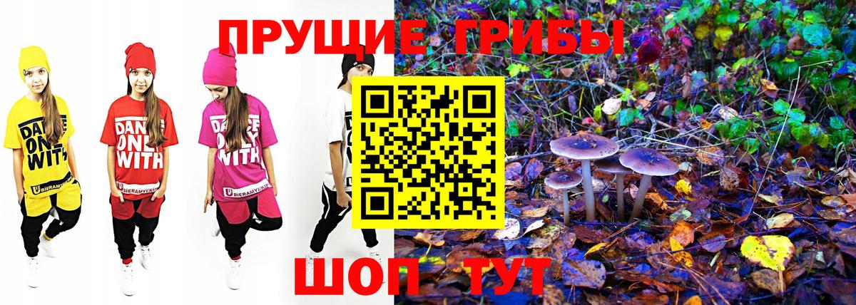 Псилоцибиновые грибы ЛСД Учалы